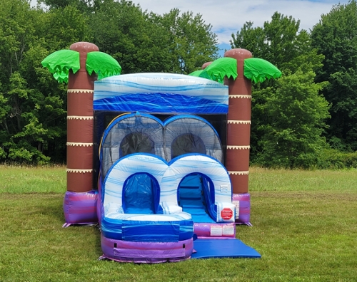 Tropical bounce house combo with splash pad (wet or dry)